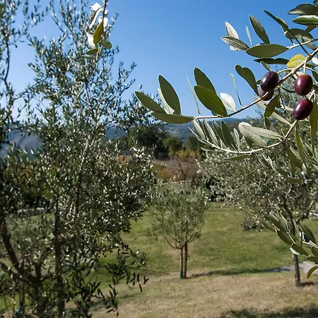 Freistehendes Mit Garten Und Pool Holiday home Pratovecchio