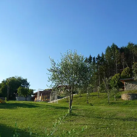 Freistehendes Mit Garten Und Pool * Pratovecchio