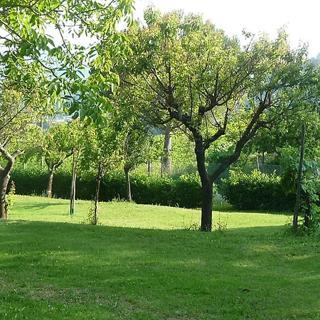 Freistehendes Mit Garten Und Pool Holiday home Pratovecchio